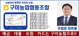 배너
