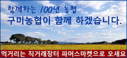 배너