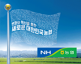 배너