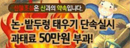 배너