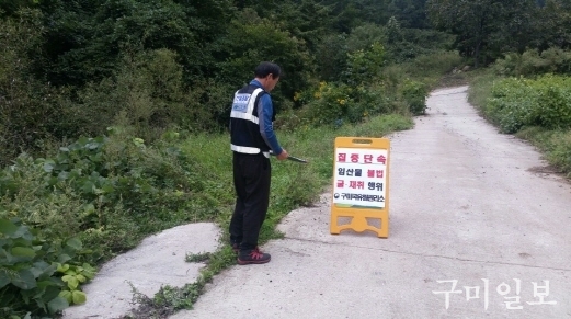 단속장면