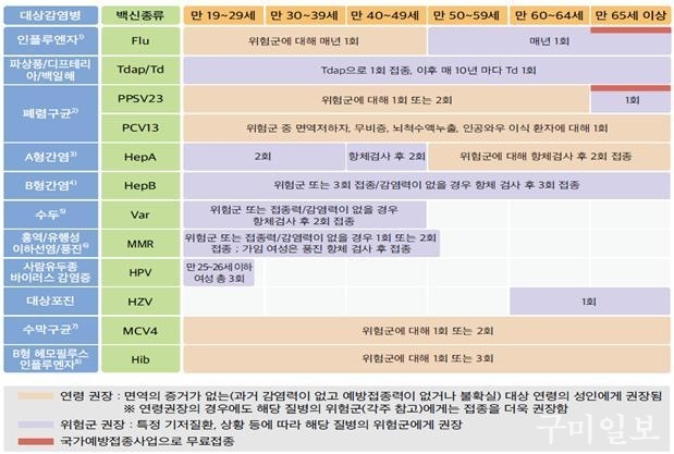 <건강한 성인에게 일반적으로 권장되는 예방접종>