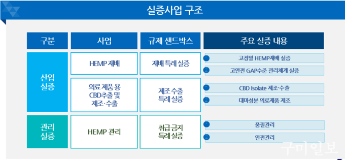 규제자유특구 실증사업 구조