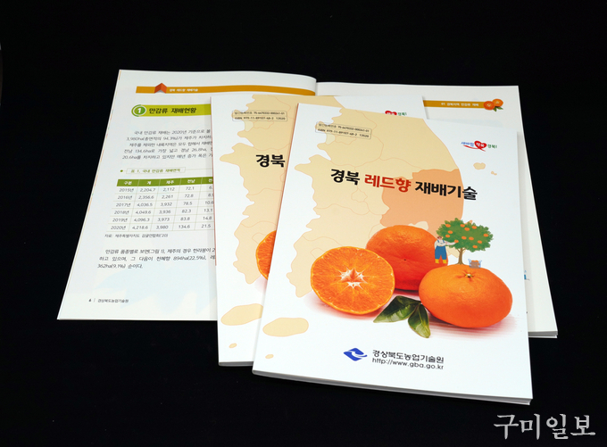 ‘경북형 레드향 재배 매뉴얼’