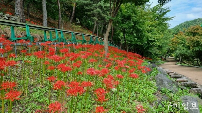 구미에코랜드