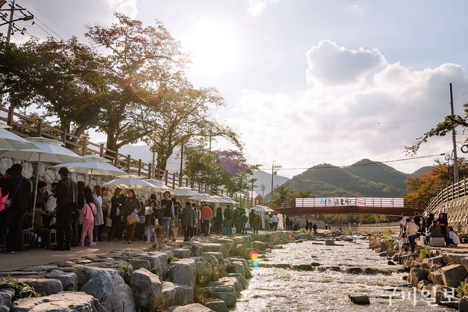 「청춘, 금오천 2.4km」축제