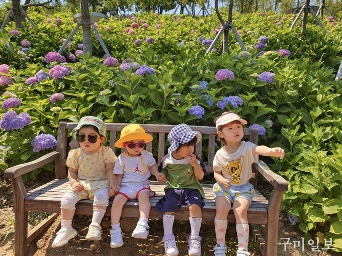 다온숲 수국원