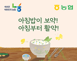 배너