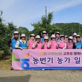동구미농협 고주모&드림봉사단, 「농번기 농가일손돕기」 실시