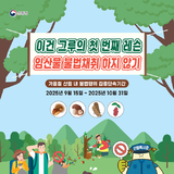 구미국유림관리소, 2025년 가을철 산림 내 불법행위 집중단속 실시