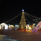 '구미코 윈터스토리 #네번째 이야기' 8천여 명 참여 속 성료