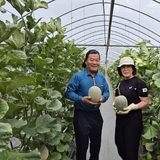 황제가 먹던 ‘하미과 멜론’ 구미 농업의 전략작목으로 안착