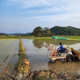 구미시, ‘영농대행단 4배 확대’ 농촌 일손난 정면 돌파!