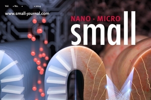 국내 연구팀, ‘뇌 주름 모사로 메모리 성능 4배 향상 → 인공 신경소자의 새 장을 열다’