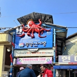 김재원 경상북도지사 예비후보, 안동 · 봉화 전통시장 방문 ··· 민생 경제 현장 소통 강화