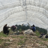 구미보호관찰소, 농번기 일손 부족 해소를 위한 ‘농촌지원 사회봉사’ 실시