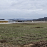 구미시농업기술센터, 봄철 맥류 관리 ‘골든타임’ 현장 기술지원 강화