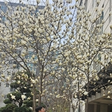 [기고문] 심학봉 前 국회의원·구미중소기업협의회 경제고문, 신뢰는 승복이다